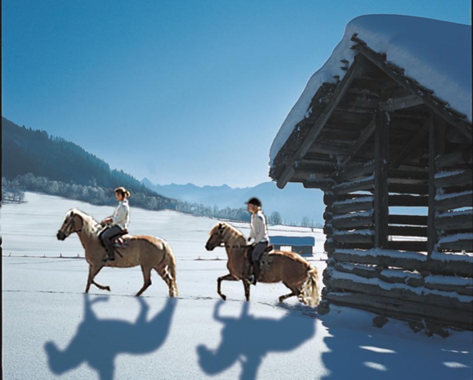 Hotel Schoerhof Saalfelden Luaran gambar