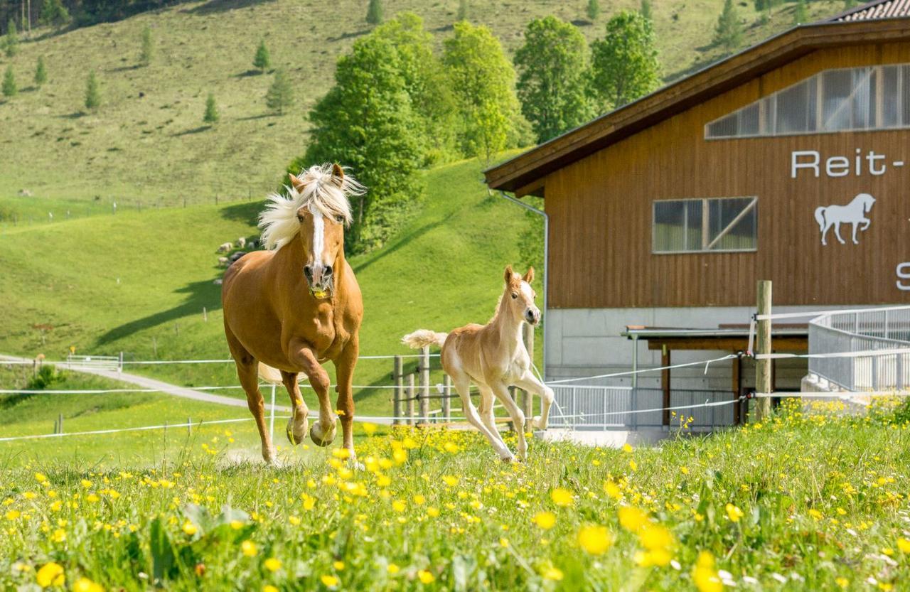 Hotel Schoerhof Saalfelden Luaran gambar